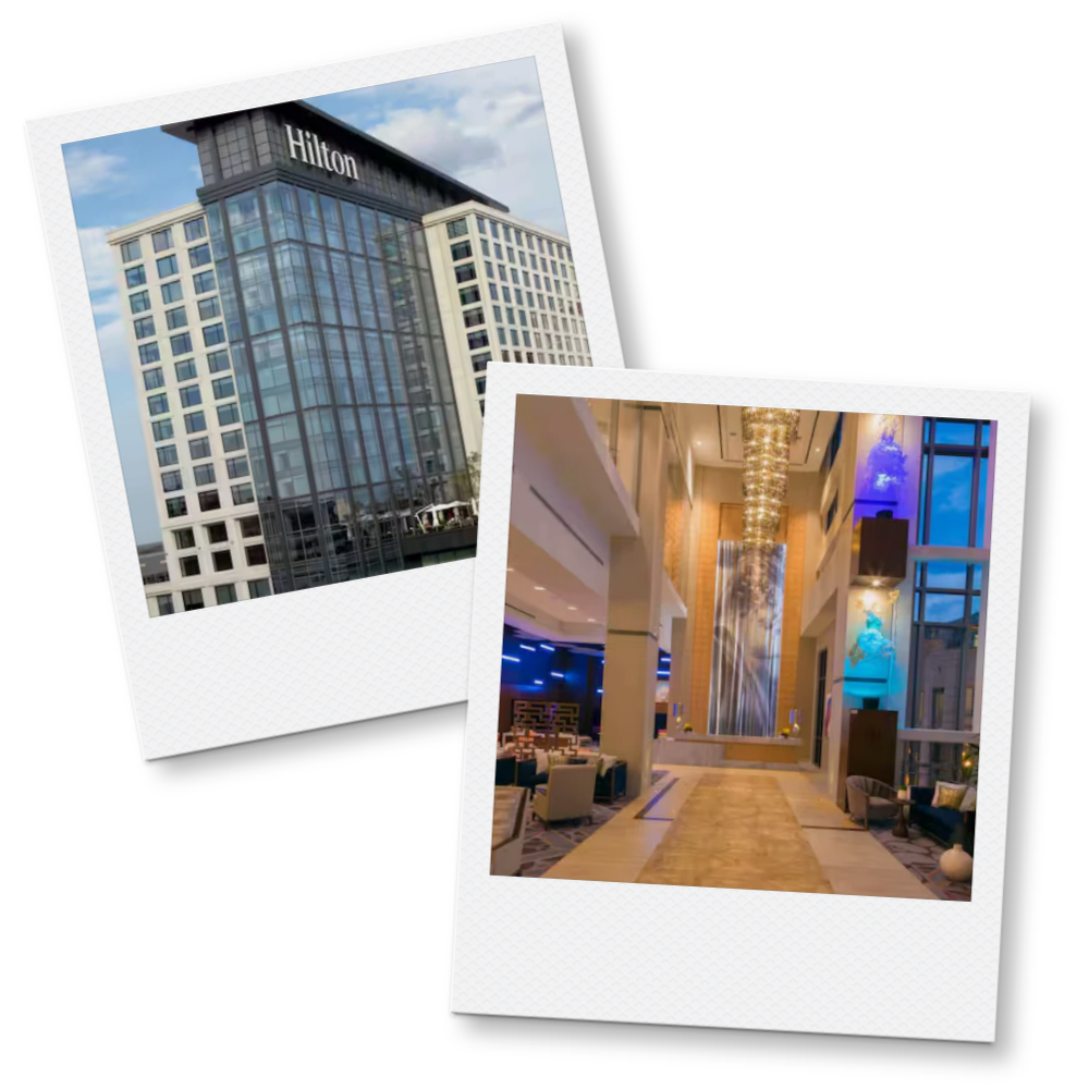 Hilton Norfolk the Main
